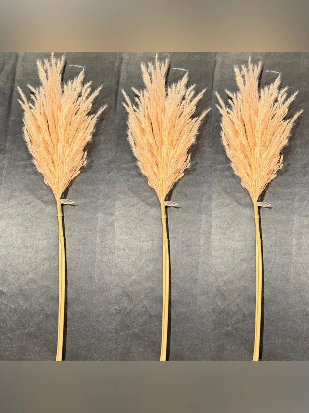Threshold Dried Wheat Stem Bundle - Soft Peach Beige (Qty 3) 6 Stems Total! NWT